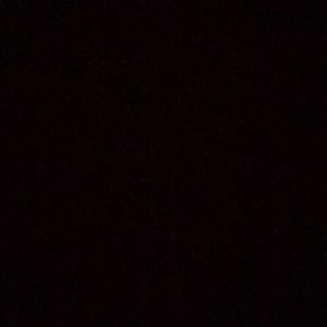 Meet your Posher, Belle